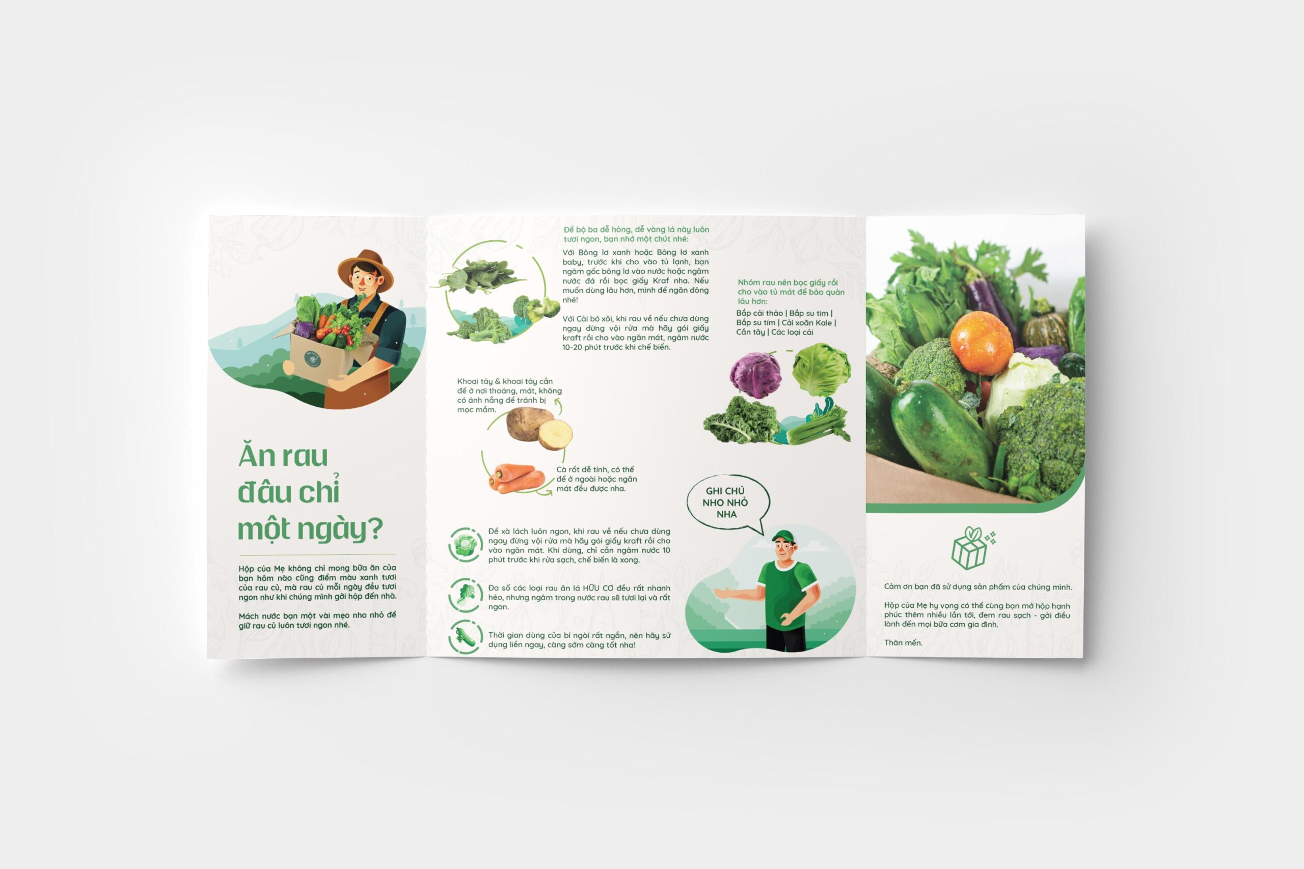 HOPCUAME-Brochure-01