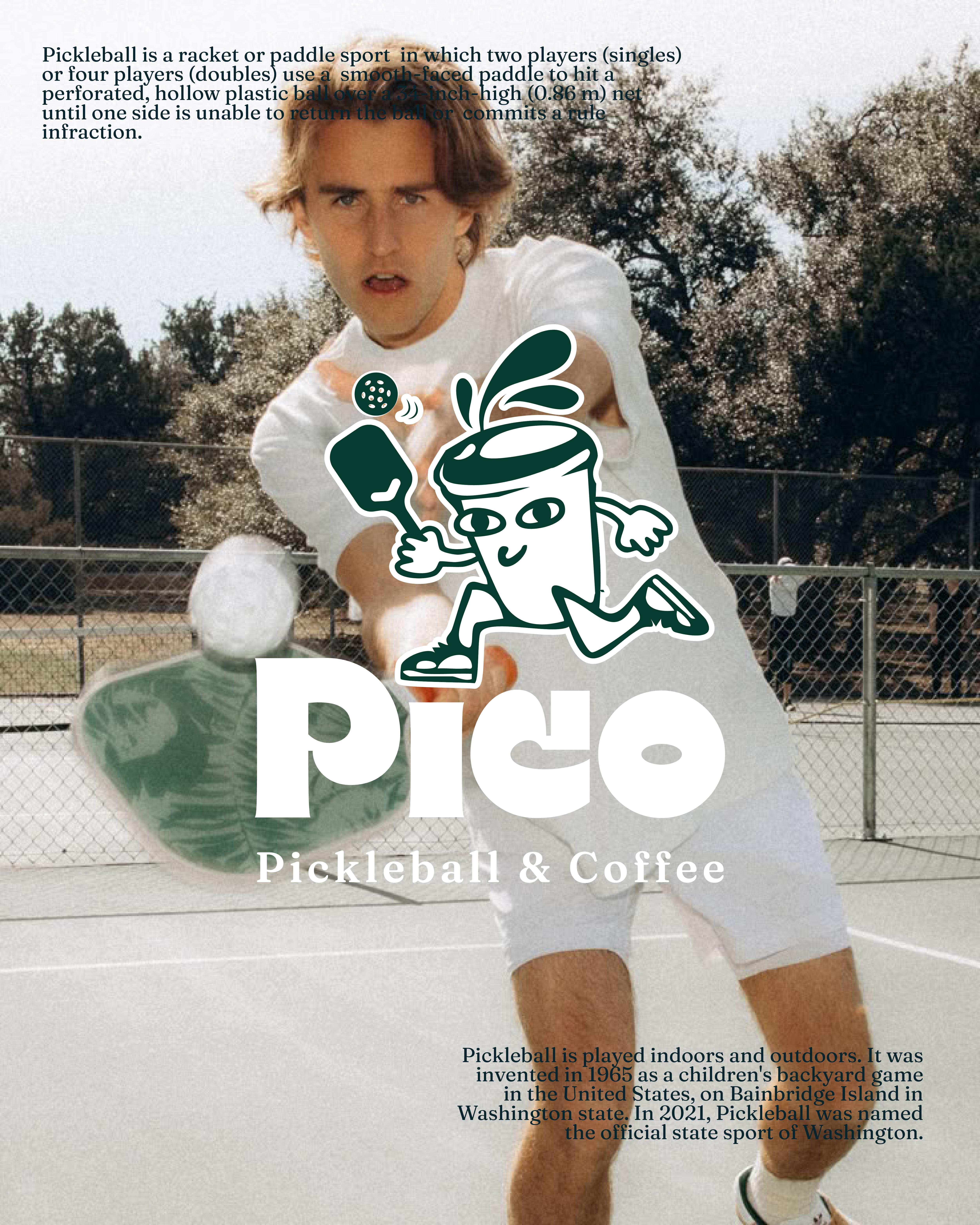 Pico Pickleball – Logo Showcase 16 (Unused Version)