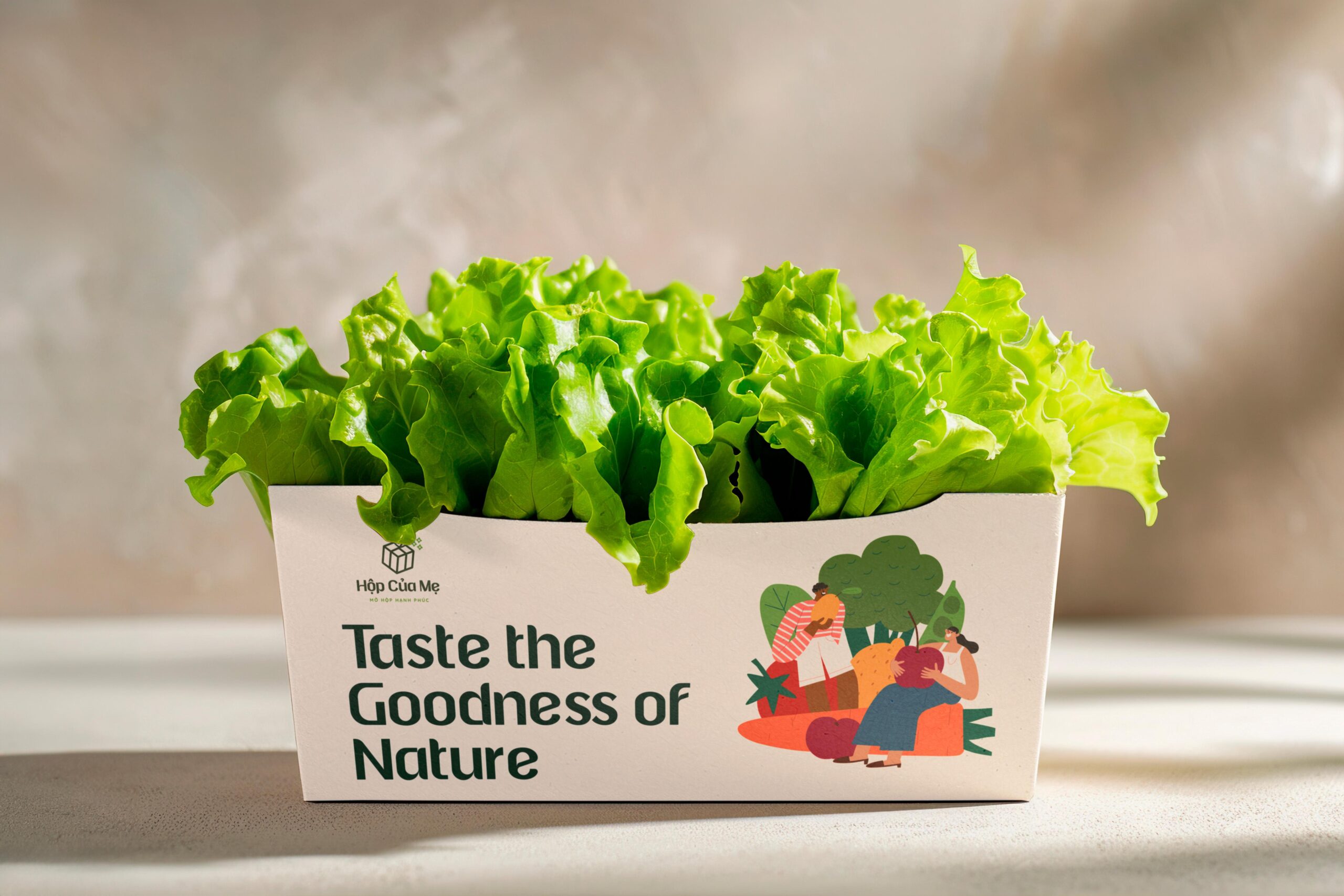 Hop Cua Me – Showcase Mockup 02