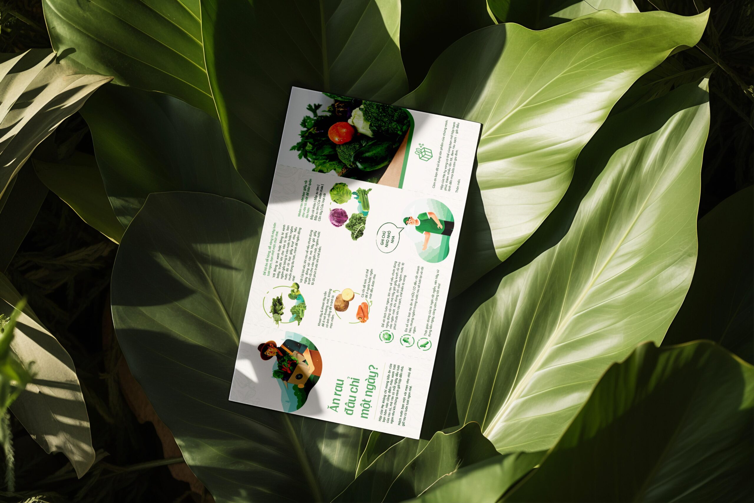 Hop Cua Me – Showcase Mockup 16