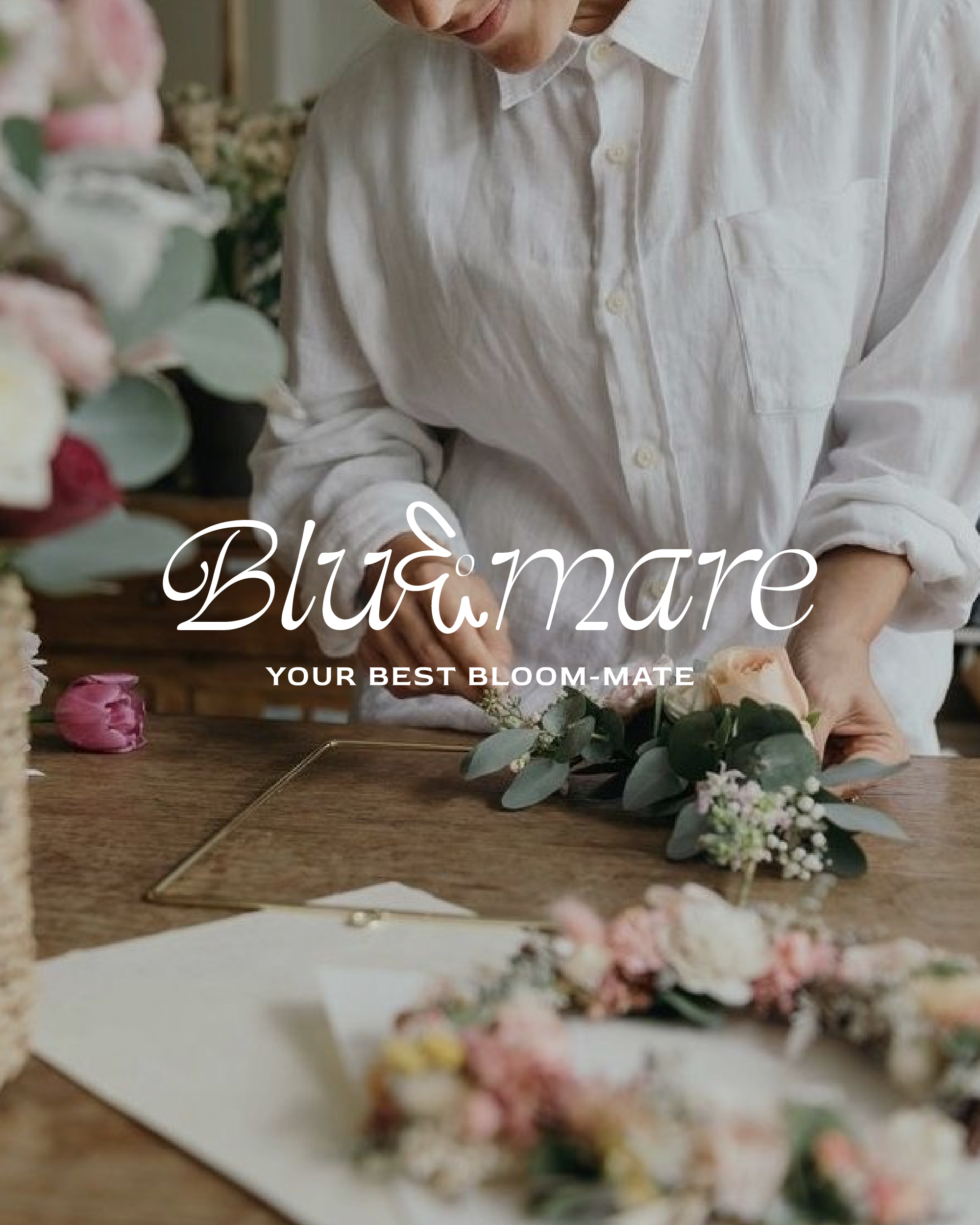 BLUEMARE – Identity Showcase-02