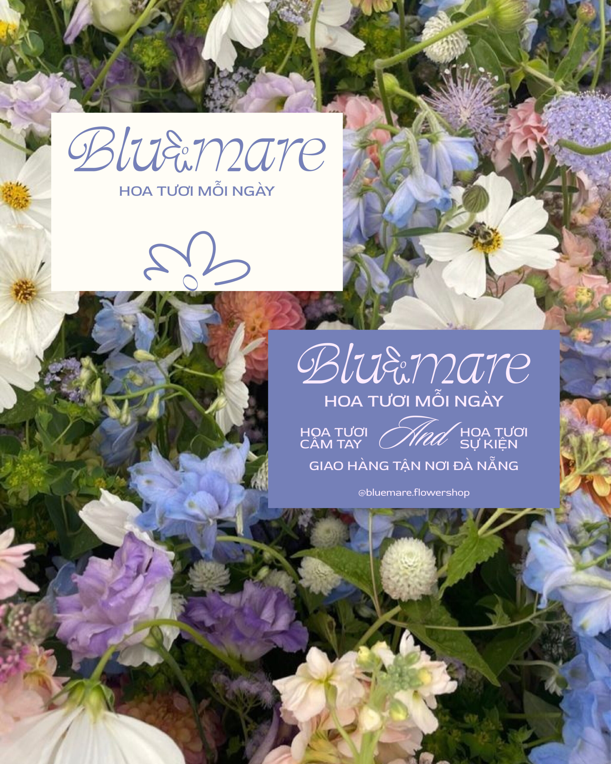 BLUEMARE – Logo Concept Ver 1-12