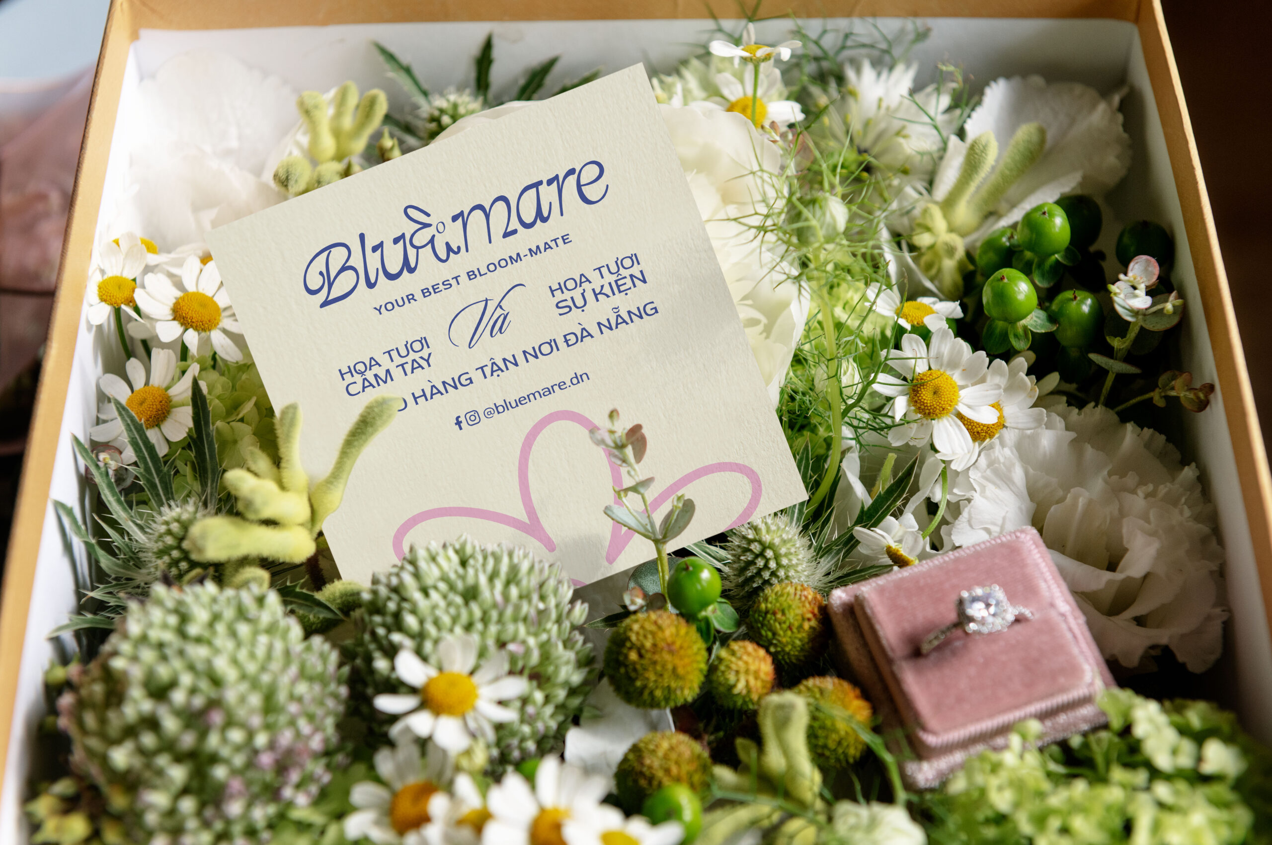 Bluemare – Showcase Mockup 01