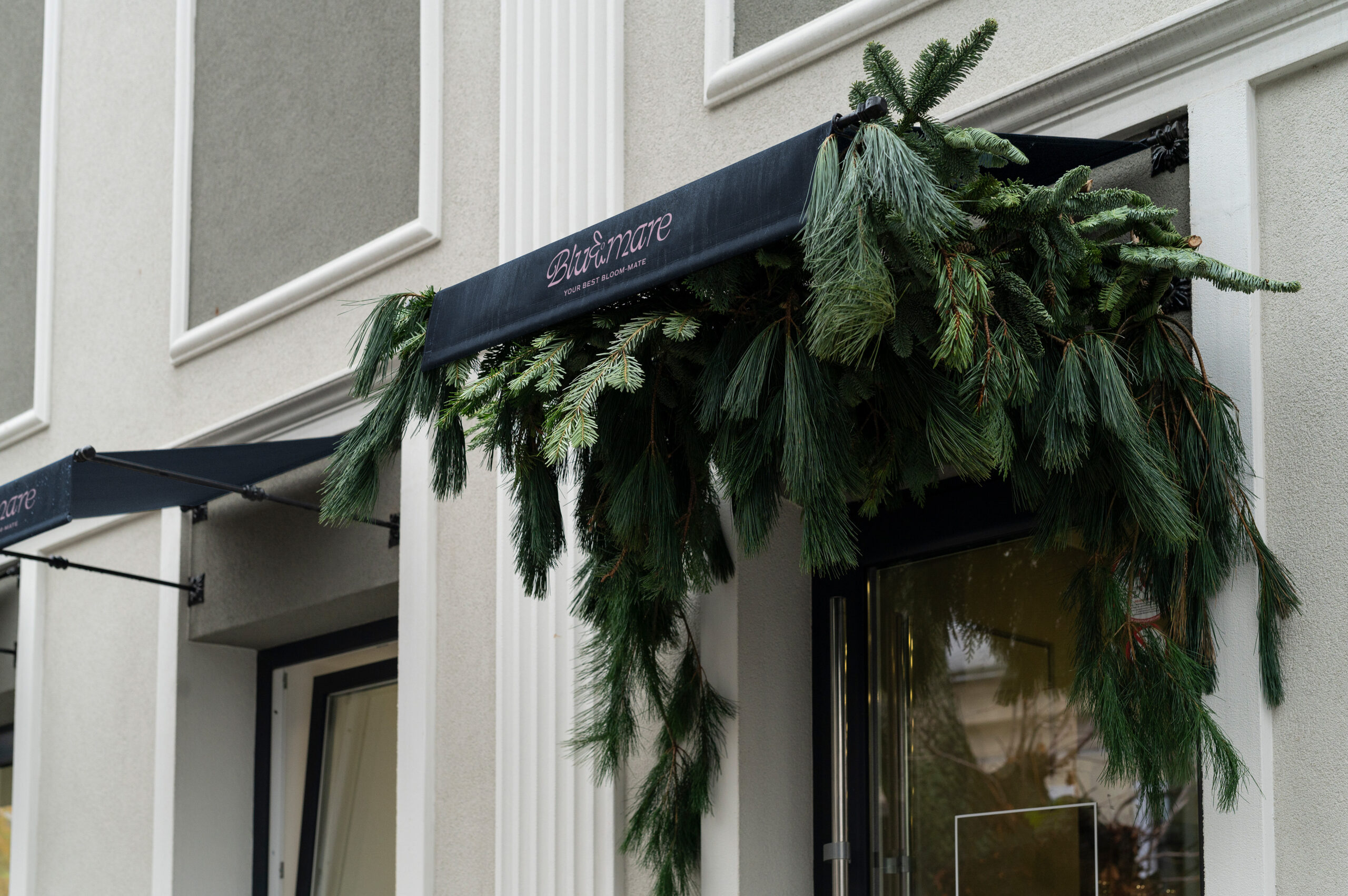 Bluemare – Showcase Mockup 03